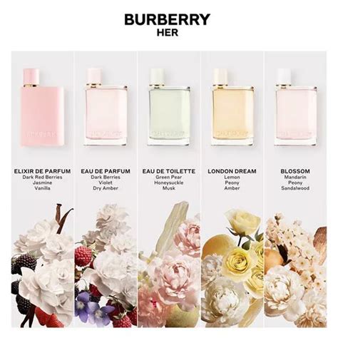 burberry london mujer que olor tiene|burberry her perfumes.